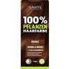 SANTE Naturkosmetik 100% colore per capelli vegetali in polvere 03 bronzo, colorazione vegana per capelli con henné biologico e indaco, in bronzo a lunga durata, copertura grigia naturale e