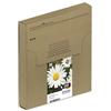 Epson Serie 18XL Margherita - Cartucce originali Claria Home per Stampante Inkjet, Multipack 4 Colori Formato XL, Stampe Casa/Ufficio fino 450 pagine a colori/470 black, Confezione EasyMail