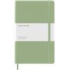 Moleskine Classic Notebook, Taccuino a Righe con Copertina Rigida e Chiusura Elastica, Colore Verde Salice, Formato Large 13 x 21 cm, 240 Pagine