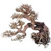 Amtra - Legno Oriental Wind 7, fatto a mano, per acquario, 25X10X20 CM