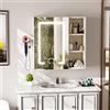 ChromaCasa Specchio Bagno Contenitore con 3 Colori Luce, Armadio Specchio Bagno con Deumidificazione con 1 Tocco e Funzione di Memoria & con Mensola Regolabile(60x60x15 cm,Bianco)