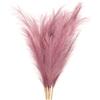 PATIKIL Pampas Decor Alte 37,8 pollici, 7pcs Pampas Artificiali Sfusa Lunga Erba Finta Sofficiante Essiccata per Casa Decor Boho Vaso Matrimonio Parete Pavimento, Viola