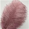 Sowder 10 piume di struzzo, 30-35 cm, per decorazione di nozze principale (Dusty Rose)