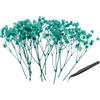 PATIKIL 30Pcs Mini Kit Fiori Di Gypsophila Essiccati Mazzi Floreali | Pressati.