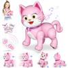 JONRRYIN Gatto Robot Telecomandato, Gatto Robot Intelligenti per Bambini, Giocattoli Interattivo Danza Musica, Regali Creativi per Bambini e Bambine 3-12 Anni