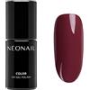 NÉONAIL NEONAIL - Smalto UV da 7,20 ml, della collezione "Do what makes you happy", colore "Future Is You"