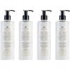 Prija Protective Hair Conditioner with Green Walnut Extract 4x 380ml | Conditions and Nourishes Hair. Protects from External Aggressors. For All Hair Types. With Pump Dispenser.