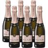 Nicolas Feuillatte Champagne Brut Rosé - 750ml (Confezione da 6)