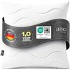 Lileno Home Imbottitura per cuscino, 60 x 60 cm, set da 1 pezzo, cuscino interno trapuntato, per chi soffre di allergie, in microfibra, come cuscino decorativo e cuscino da divano, lavabile a 40 °C