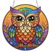 AIRDEA Gufo arcobaleno carino Diamond Painting Ciondolo Acrilico Doppia Faccia, Gufo vetrata Diamond Painting Decorazione Sospesa Kit Completo, Diamantini Crystal Art Ciondolo Acchiappasole