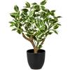 Briful Piante artificiali di ficus alte 43 cm, bonsai artificiali verdi e bianche, pianta finta per interni, piccolo albero di ficus finto per casa, cucina, bagno, decorazione