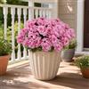 Aisamco 6 Fiori Geranio Seta Esterno UV Resistente | Piante finte, Giardino casa, Fioriera finestra, Cortile tavolo