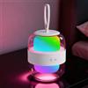LROLTEF Lampada da Tavolo Luce Notturna 2000mAh RGB & 3 Temperature Dimmerabile Lampada Con Maniglia da Comodino Ricaricabile USB Portatile per Camera Soggiorno Studio Ufficio Luce Atmosferica Bianco