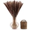 Blumtal Pampas Decorative Alte, Erba della Pampas Secca Naturale, Fiori di Pampas, 58-60cm di Altezza, 30 Pezzi, Colore Naturale