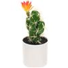 KICHOUSE Pianta Cactus Finta Decorativa in Plastico Verde, Facile da Curare e Resistente, per Decorare Interni e Ufficio