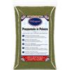 Valsapori Prezzemolo Essiccato in Polvere per Pasta, Pesce e Salse, 100 g | Per patate, verdure, zuppe, legumi, ripieni e condimenti; consistenza fine da dosare in cottura o come finitura del piatto