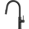 FORIOUS Rubinetto Cucina con Doccetta Estraibile, Miscelatore Cucina ad Arco Alto Girevole a 360°, 2 Modalità di Getto, in Acciaio Inox, Ideale per Cucine Moderne, Nero Opaco