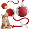 KRUMAD Giocattolo interattivo per gatti con LED, palla elettrica per gatti, batteria USB, palla da gioco interattiva per gatti, palla per gatti con coda, palla da gioco rossa per attività e attività