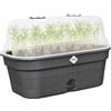 Elho Green Basics Grow Tray Allin 1 M Vasi per Piante - Living Black | L 18 x P 32 x A 13.2 cm | Sottovaso integrato