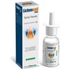 Promopharma Lichensed Spray Nasale 15 Ml