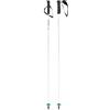 Head Adult Worldcup Rebels Carbon - Bastoncini da Sci Unisex, Colore Bianco/Nero/Blu velocità, 120