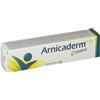 AURORA BIOFARMA Srl Aurora Biofarma, Arnicaderm Crema, 100 ml