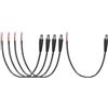 QUARKZMAN 5pcs Cavi Pigtail Alimentazione DC 25cm per Telecamere CCTV DVR | Connettore Maschio a Baretto 5.5mm x 2.5mm a Filo Nudo Aperto, Strisce LED