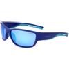 Polaroid GAFAS