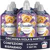 Coccolino Ammorbidente Concentrato Perfume Orchidea viola e mirtilli, Ammorbidente Lavatrice, Freschezza Lunga Durata, Dermatologicamente Testato, Formato XXL 522 Lavaggi, 6 x 1827 ml