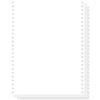 EXACOMPTA Carta per computer, 30,48 cm (12") x 240 mm VE = 1