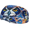 Anceky Blue Owl 1 Stampa Unisex-Adulto Sportivo Fascia Antisudore Fasce Sportive Versatili Fascia Antisudore