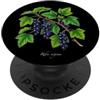 The Botany Bureau Illustrazione della pianta di ribes nero Ribes nigrum PopSockets PopGrip Adesivo