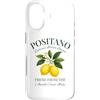Positano Amalfi Coast Italy Designs Custodia per iPhone 17 Positano Amalfi Limoni freschi italiani
