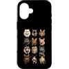 Rock and Wear Custodia per iPhone 16 Rock Star Cats Punk Band Kittens Rock'n Roll Regali divertenti