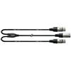 Cordial - Cavo Y Stereo 30 cm XLR Maschio a 2 × XLR Femmina PVC Nero REAN Neutrik (CFY 0.3 MMF)
