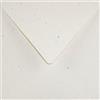 Netuno 25 buste da lettera quadrate crema 15,5 x 15,5 cm 130g Flora Giglio buste eleganti carta riciclata per matrimonio compleanno partecipazioni inviti battesimo Natale Pasqua biglietti auguri