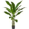 EDG Enzo de Gasperi Strelitzia Banks con Vaso da Interno o Esterno, pianta Artificiale, Finta Verde da Arredamento H155 cm