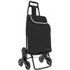 Leonardo - trolley per la spesa, carrello per la spesa con Tre Ruote Girevoli Saliscale, Trolley Portaspesa con chiusura a strappo, borsa Rimovibile.