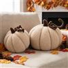 Ywlake Set di 2 Cuscini Zucca Autunnale, Decorazione Autunnale Cuscino Decorativo Forma Zucca 3D per Divano Camera Da Letto Decorazione Halloween Ringraziamento (Beige)