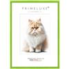 PrimeLuxe Cornice portafoto in legno, realizzata su misura, stretta, 30 x 42 cm, in verde chiaro lucido, dimensioni a scelta, con vetro acrilico antiriflesso, cornice per poster, puzzle, collage