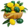 Lorigun 24 Pezzi di Limoni e Lime Finti con 24 Foglie, Limoni Finti Decorativi, Frutta Artificiale Realistica in Plastica per Decorazioni da Cucina, Centrotavola per Feste Estive (12 Limoni e 12 Lime)