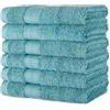 Amazon Basics Set Asciugamani Bagno Spugna 100% Cotone Biologico Asciugamani Viso 41x66 cm, Verde Acqua, Confezione 6 Pezzi