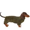 UOSIA Tuta In Pile Per Cane Bassotto Dolcevita Alla Moda A 4 Gambe A Maniche Lunghe Cappotto Invernale Caldo Pullover Per Cani Tutina Elasticizzata Per Cani Pigiama Per Mini Bassotti