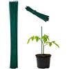 Relaxdays 100x Canne di bambù 30 cm, Set da 100 Bastoni 5 mm Ø, Paletto Sostegno per Piante Rampicanti o Decorazione, Verdi