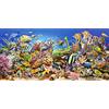 Haojeer 5D DIY Pittura Diamante Kit Fondale Marino Full Drill Resina Attraversare Cucire Ricamo Diamond painting Mosaici Parete Stanza Della Decorazionefatto Mano Artigianato Round Drill 30x60cm DA7850