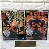 BANPRESTO My Hero Academia Endeavor Bakugo BANPRESTO Amazing Heroes Plus set di 2 figure
