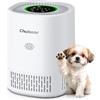 Chuboor Purificatore d'aria allergico camera da letto purificatore d'aria CADR 240 m³/h per camere fumatori 3 timer 4 velocità modalità sonno H13 HEPA aria detergente per capelli