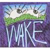The Wake Flyin Mice Squirrel Nut (CD)