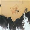 Comets On Fire Avatar (CD) Album