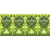 Pukka Lemongrass & Ginger Tisana Biologica 20 Bustine x4 Confezioni; Infuso Citronella e Zenzero; Gusto Fresco e Speziato; Senza Caffeina; Ingredienti Bio